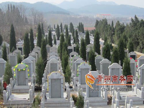 经营性公墓价格的疯长,催生了农村集体性土地上的"小产权墓"的热销.